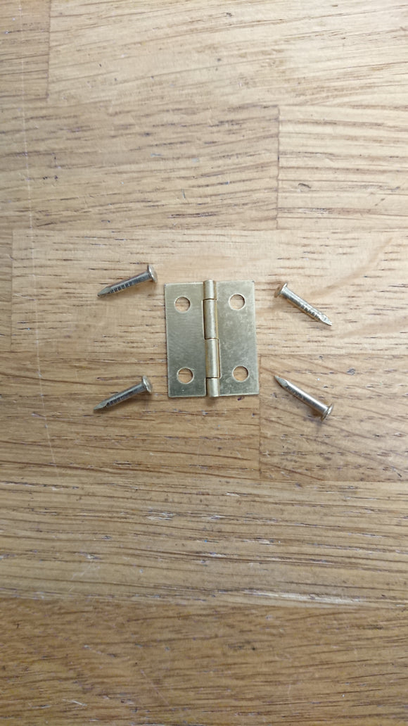 Butt hinges (19mm)