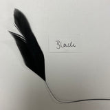 Fascinator Feathers