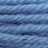 Anchor Tapestry Wool: 8622-8742