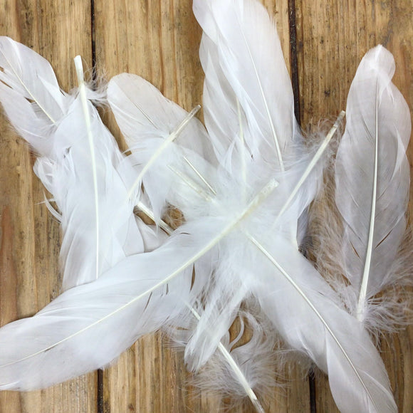 Goose Feathers: Pack of 12